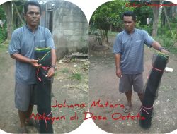 Kuat Dugaan Mark Up Harga Pembelian Waring Untuk Nelayan Oeteta