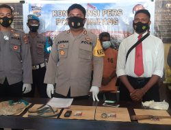 Ketahuan Saat Mencuri Kelapa, Pemilik Kelapa Malah Tewas dibunuh Pencuri