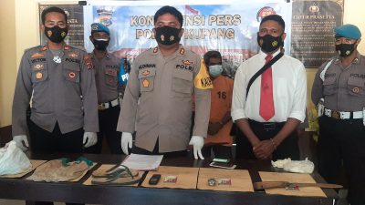 Ketahuan Saat Mencuri Kelapa, Pemilik Kelapa Malah Tewas dibunuh Pencuri