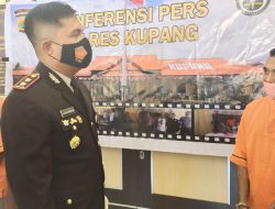 Polres Kupang Tahan Dua Tersangka Kasus Pencurian Sapi
