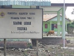 Pengurus LPM Minta Inspektorat Audit Pengelolaan Dana Kelurahan Tuatuka