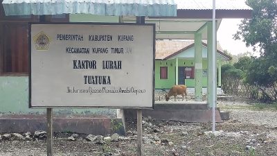 Pengurus LPM Minta Inspektorat Audit Pengelolaan Dana Kelurahan Tuatuka