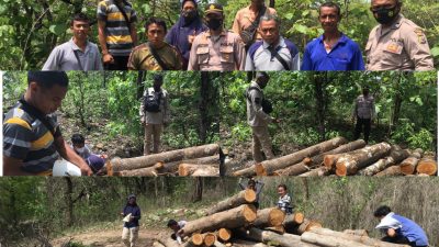 InShot 20211126 092203239