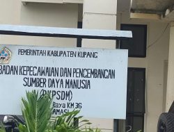 Tujuh Orang Oknum PNS Lingkup Pemkab Kupang Dalam Proses Pemberhentian