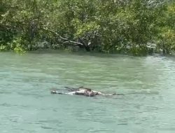 Sesosok Mayat Ditemukan Mengapung di Pantai Oebelo