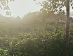 Pembangunan Rumah Sakit Oelnaineno Mangkrak, Kini Jadi Rumah Hantu