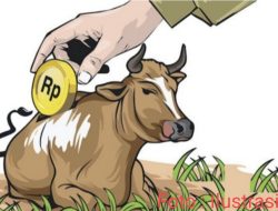 Janjikan Bantuan Sapi, Warga Desa Tuakau Wajib Setor Uang Seratus Ribu Rupiah