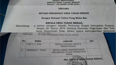 PhotoCollage 1654824182675