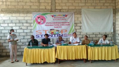 Pola Orang Tua Asuh Jadi Solusi Penanganan Stunting di Desa Oesusu