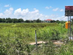 Program Agrowisata Milik Dinas Pertanian Kabupaten Kupang Gagal Total