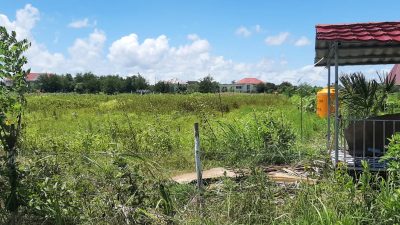 Program Agrowisata Milik Dinas Pertanian Kabupaten Kupang Gagal Total