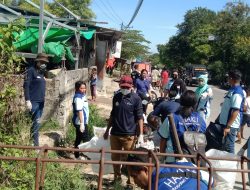 HAKLI Kabupaten Kupang Pungut Sampah di Pasar Oesao