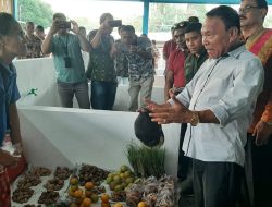 Warga Luar Kabupaten Kupang Kuasai Lapak di Pasar Lili
