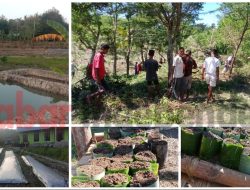 Pemdes Kiuoni di Kecamatan Fatuleu Ada Program Kebun Percontohan, Begini Tujuannya!