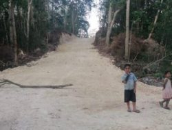 Perkerasan Jalan di Desa Kotabes Membuka Akses Transportasi Menuju Lahan Pertanian