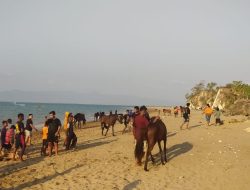 Objek Wisata Pantai Panmuti Tidak Lagi Nyaman, Pengunjung Tertabrak Kuda Pacu