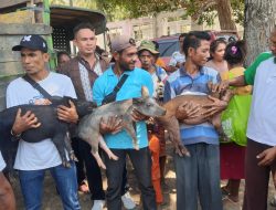 Bantuan Bagi Masyarakat Amfoang Disalurkan, Upaya Tingkatkan Ekonomi