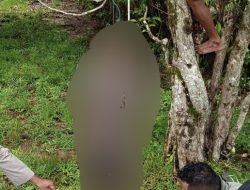 Diduga Akibat Terlilit Hutang, Seorang Laki-laki di Kupang Nekat Gantung Diri