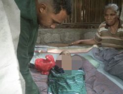 Rumah Warga di Kabupaten Kupang Roboh Tertimpa Pohon, Satu Orang Korban