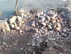 Warga dan Toga di Kupang Urunan Uang Perbaiki Jalan yang Jadi Tanggungan Pemerintah