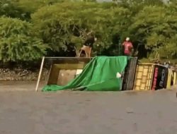 Truk Pengangkut Beras Terbalik di Sungai Netlopen Soliu