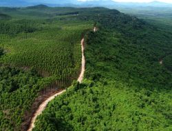 Kehutanan Jadwalkan Periksa Lokasi Tambang Galian C di Kabupaten Kupang