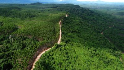 Kehutanan Jadwalkan Periksa Lokasi Tambang Galian C di Kabupaten Kupang