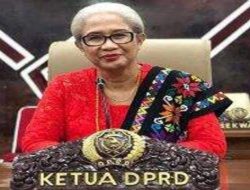 Utamakan Usung Kader Pada Pilkada 2024, PDIP Pasangkan Emy Nomleni dan Hery Dosinaen di Pilgub NTT