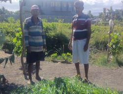 Kisah Petani Asal Kupang Timur, Rela Gali Embung Demi Asa Mengais Rejeki