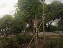 Belasan Baliho Balon Bupati Kupang Melki Buraen dirobek Oknum Tak Dikenal