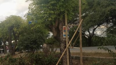 Belasan Baliho Balon Bupati Kupang Melki Buraen dirobek Oknum Tak Dikenal