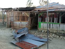 Angin Kencang Terbangkan Atap SD Negeri Builulat Takari, Siswa Belajar Dibawah Terik Matahari