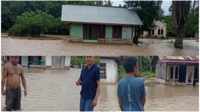 GridArt 20250126 212703179