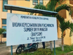 BKPSDM Kabupaten Kupang Kembali Lakukan Blunder, Seleksi PPPK Tahap II Kacau Balau