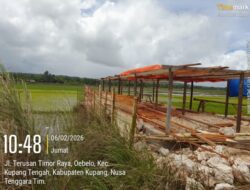 Masyarakat Nyatakan Tolak Rencana Pembangunan Pabrik Kulit di Desa Oebelo, Ini Alasannya!