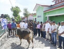 Konsisten Tingkatkan Kapasitas Lembaga Keagamaan, Bupati Kupang Serahkan Hewan Kurban di 3 Masjid