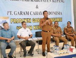 Kerjasama Strategis Pemkab Kupang dan PT Garam Cahaya Indonesia: Meluncurkan “Garam Kupang Emas”, Langkah Nyata Membangun Kemandirian Ekonomi Daerah